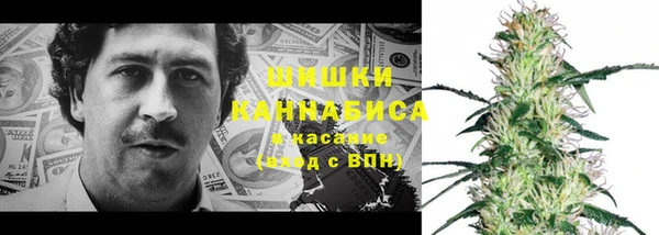 мдпв Кукмор