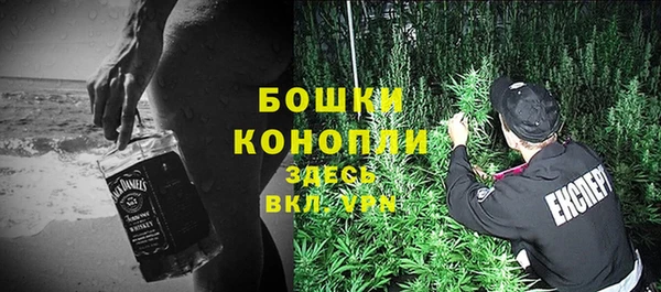 мдпв Кукмор