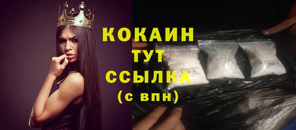 мдпв Кукмор