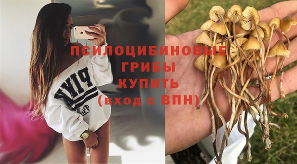 прущий лед Кулебаки