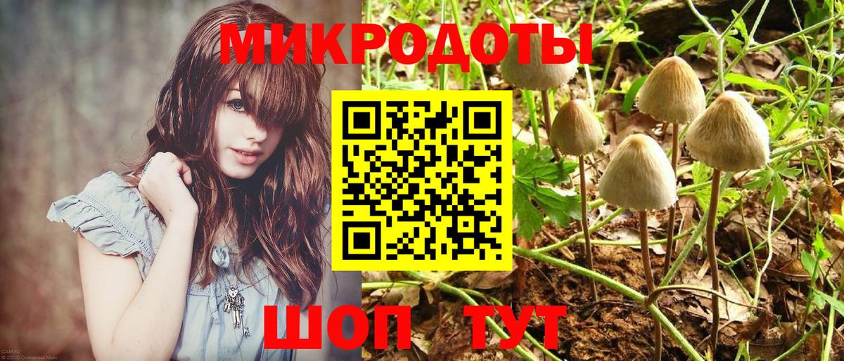 Усть-Илимск  Галлюциногенные грибы Cubensis  Вход с VPN 
