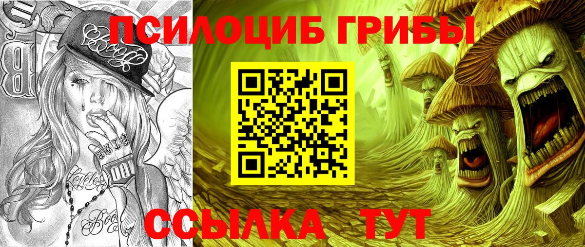 магазин продажи наркотиков  Псилоцибиновые грибы ЛСД  Усть-Илимск  Галлюциногенные грибы ЛСД 
